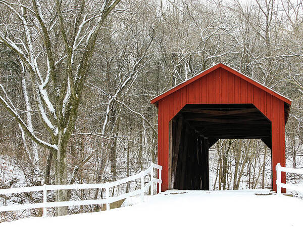 Landscape Poster featuring the photograph Sandy Creek Covered Bridge by Holly Ross