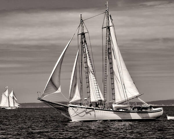  Poster featuring the photograph Schooner American Eagle 2012 by Fred LeBlanc