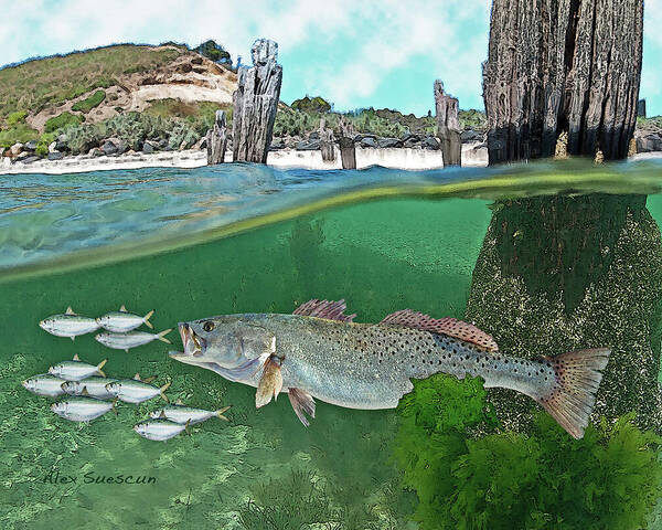 Bonefish Poster featuring the painting Seatrout Attack by Alex Suescun