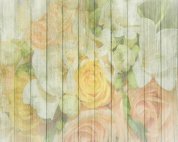 Shabby Chic Spring Pastel Roses On Wood Background Poster By