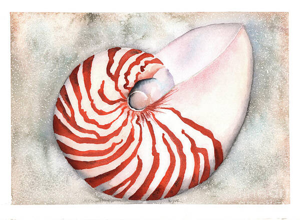 Nautilus Poster featuring the painting Shimmering Nautilus by Hilda Wagner