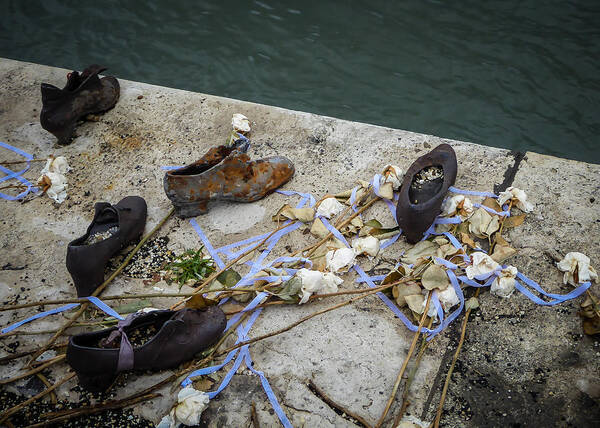 Danube Poster featuring the photograph Shoes, Roses and Ribbons by Pamela Newcomb