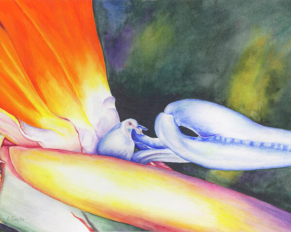 Bird Of Paradise Poster featuring the painting Show Off by Lori Taylor
