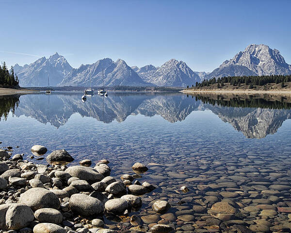 Tetons Poster featuring the photograph Jackson Lake near Signal Mountain Lodge by Shirley Mitchell