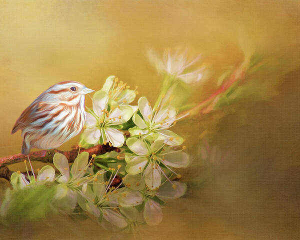 Songbird Poster featuring the photograph Song Sparrow by Cathy Kovarik