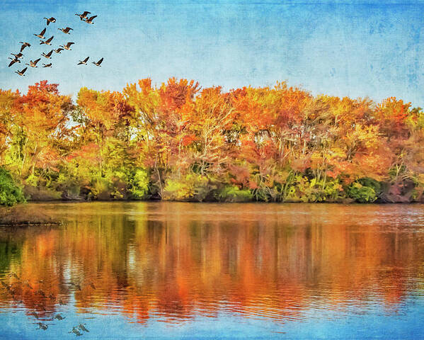 Autumn Poster featuring the photograph Southbound by Cathy Kovarik