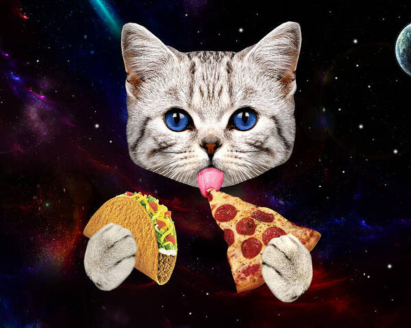 Space Cat With Taco And Pizza Poster by Johnnie Art