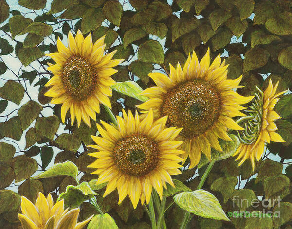 Sunflower Poster featuring the painting Summer Quintet by Marc Dmytryshyn