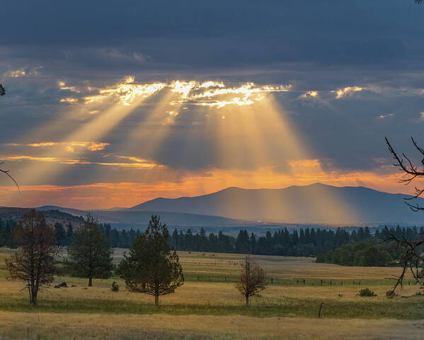 Landscape Poster featuring the photograph Sun Rays In the Valley by Randy Robbins