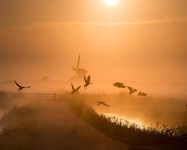Nature Poster featuring the photograph Sunrise Flight by Harm Klaverdijk