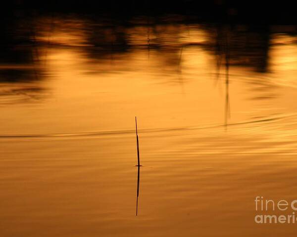 Sunset Poster featuring the photograph Sunset on the water 2 by Deena Withycombe