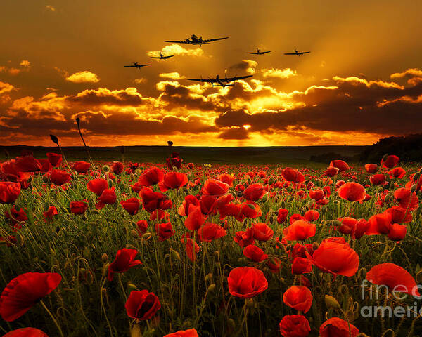 Avro Poster featuring the digital art Sunset Poppies The BBMF by Airpower Art