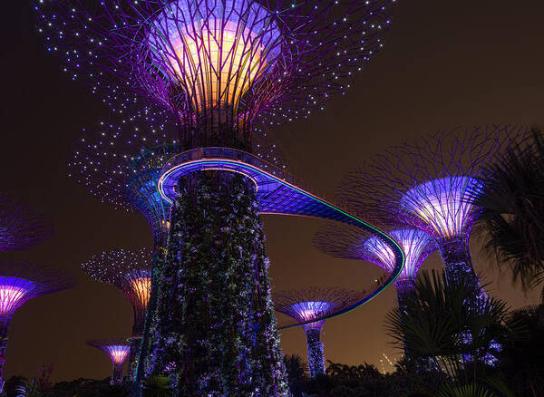 Singapore Poster featuring the photograph Supertrees by Nisah Cheatham