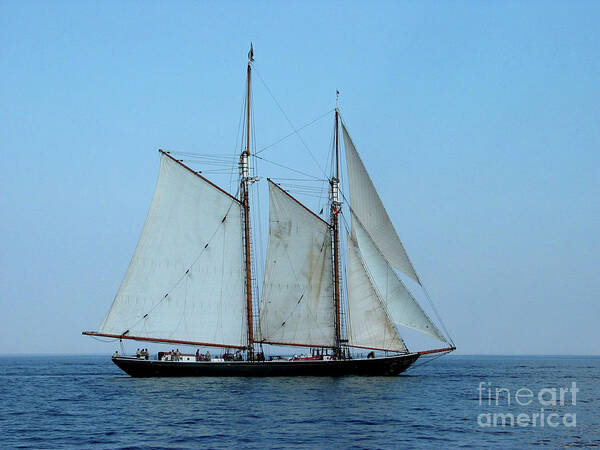 Tall Ship Poster featuring the photograph Tall Ship on Lake Michigan by Rich S