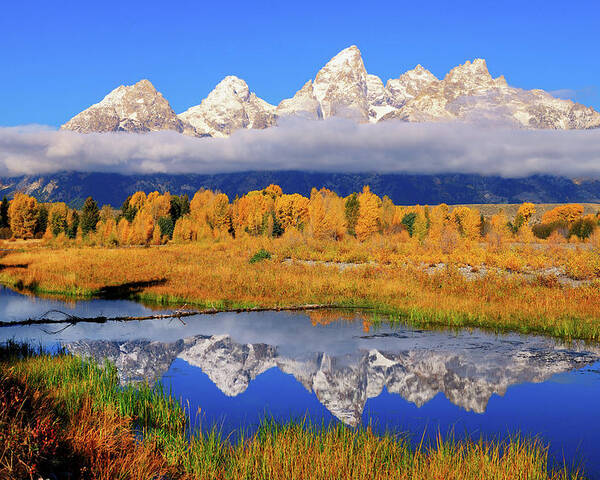 Tetons Poster featuring the photograph Teton Peaks Reflections by Greg Norrell
