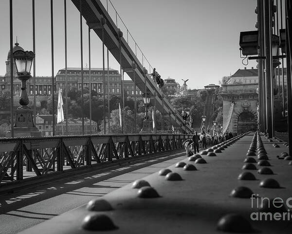 Chain Poster featuring the photograph The Chain Bridge, Danube Budapest by Perry Rodriguez