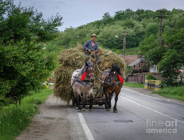 Hay Poster featuring the photograph The Hay Cart, Romania by Perry Rodriguez