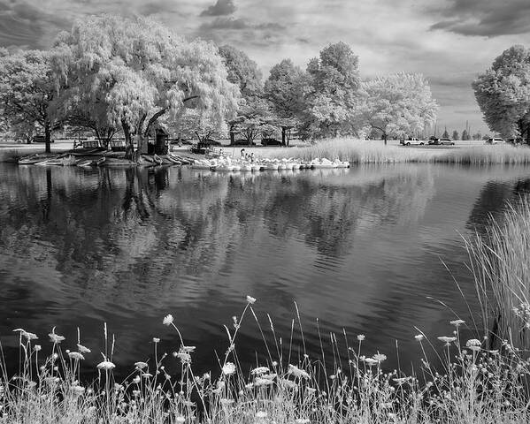 Infrared Poster featuring the photograph The Lagoon #1 by John Roach