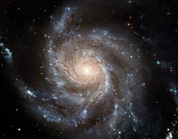 Pinwheel Poster featuring the painting The Pinwheel Galaxy by Hubble Space Telescope