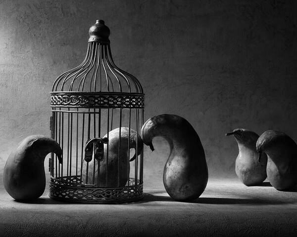 Still Life Poster featuring the photograph The Political Prisoner by Victoria Ivanova