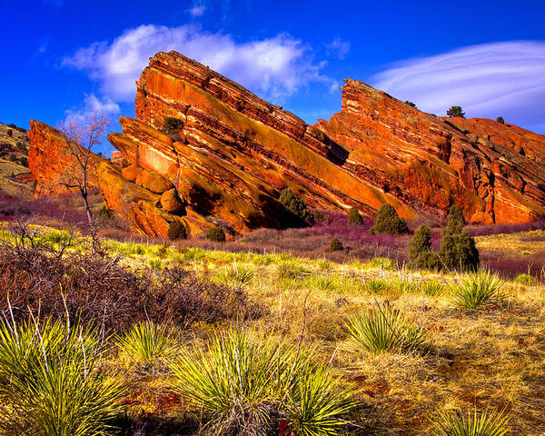 Red Rocks Poster featuring the photograph The Red Rock Park VI by David Patterson