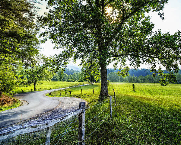 Appalachia Poster featuring the photograph The Valley at Cades Cove by Debra and Dave Vanderlaan