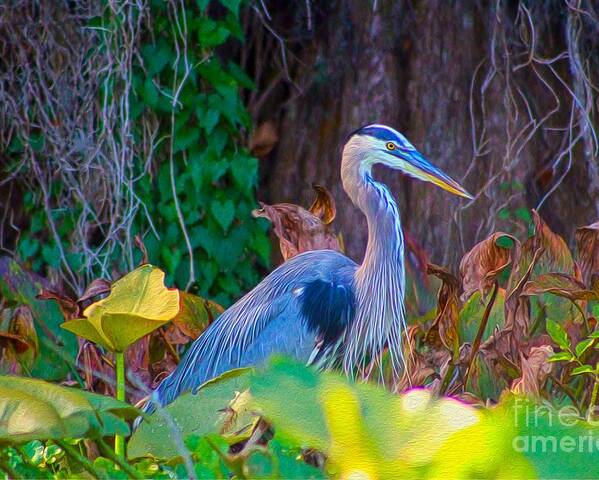 Nature Poster featuring the painting Majestic Great Blue Heron by DB Hayes