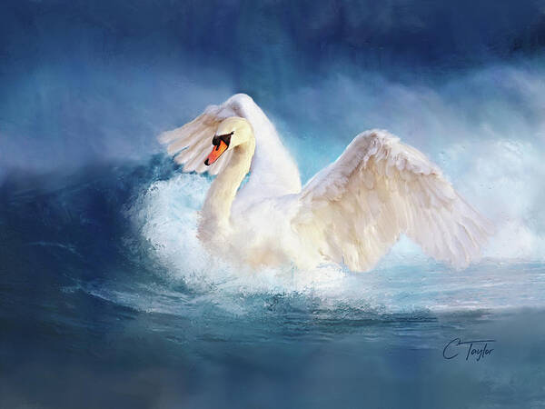 Swan Poster featuring the painting Transcendence by Colleen Taylor