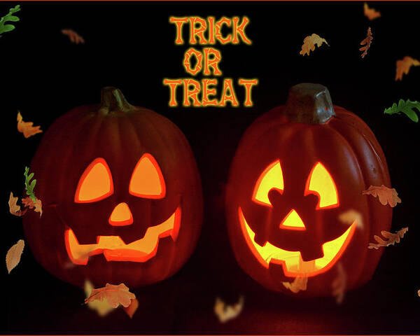 Halloween Poster featuring the photograph Trick or Treat by Cathy Kovarik