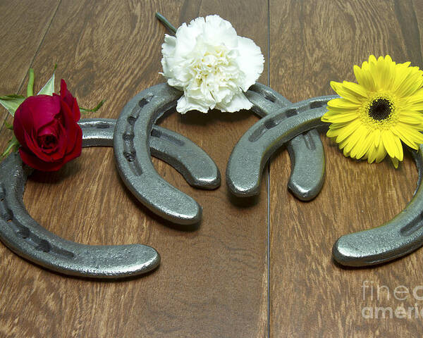 Triple Crown Poster featuring the photograph Triple Crown Flowers on Horseshoes by Karen Foley
