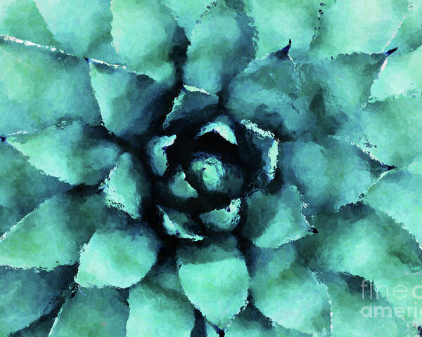 Succulent Poster featuring the digital art Turquoise Succulent Plant by Phil Perkins
