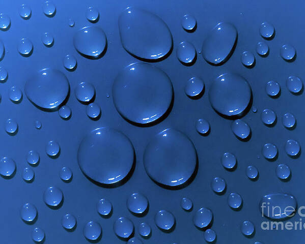 Water Poster featuring the photograph Water drops pattern on blue background by Simon Bratt