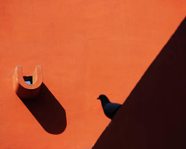 Shadow Photography Poster featuring the photograph Water Outlet Vs The Pigeon by Prakash Ghai