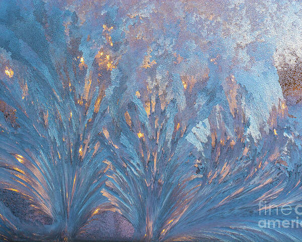 Cheryl Baxter Photography Poster featuring the photograph Window Frost At Sunset by Cheryl Baxter