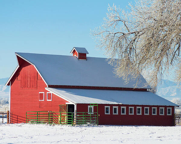 Winter Poster featuring the photograph Winter Barn by Aaron Spong