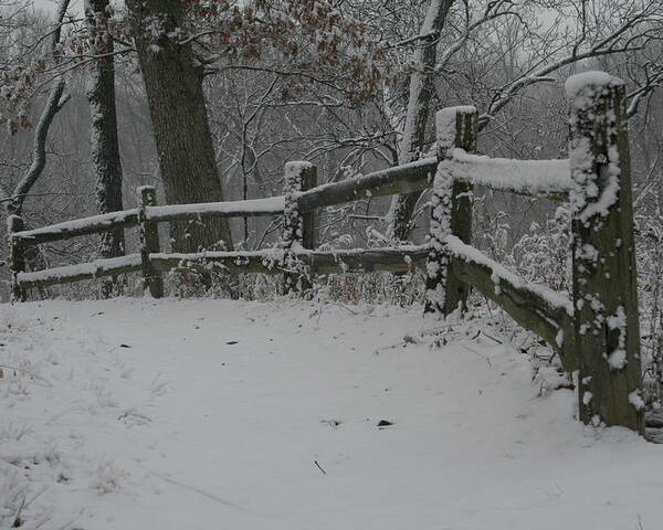 Winter Fence Trail Poster featuring the photograph Winter Fence Trail H by Dylan Punke