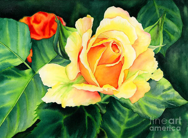 Watercolor Poster featuring the painting Yellow Roses by Hailey E Herrera
