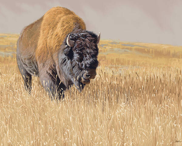 Bison Poster featuring the digital art Yellowstone King by Aaron Blaise