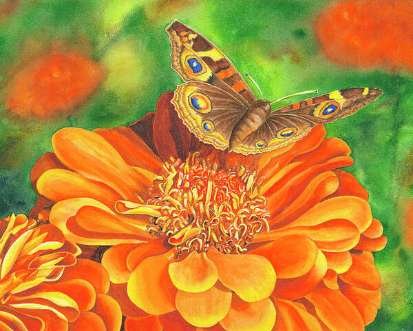 Zinnia With Butterfly Poster featuring the painting Zinnia Runway by Lori Taylor