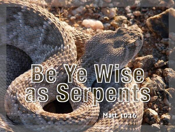 Adage Poster featuring the photograph Be Ye Wise as Serpents by Judy Kennedy