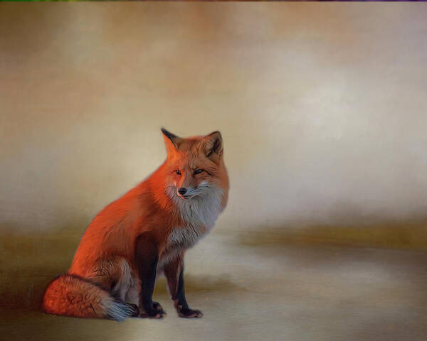 Fox Poster featuring the photograph Foxy by Cathy Kovarik
