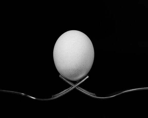 Egg Poster featuring the photograph White egg resting on two metal and shiny forks on a black backg by Michalakis Ppalis