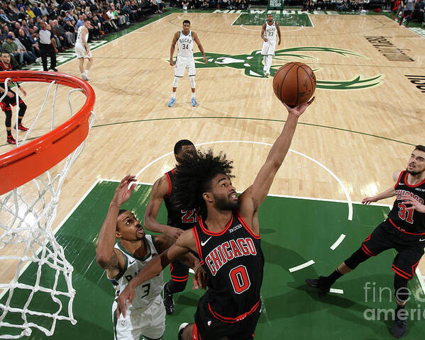 Coby White Poster featuring the photograph Chicago Bulls V Milwaukee Bucks by Gary Dineen