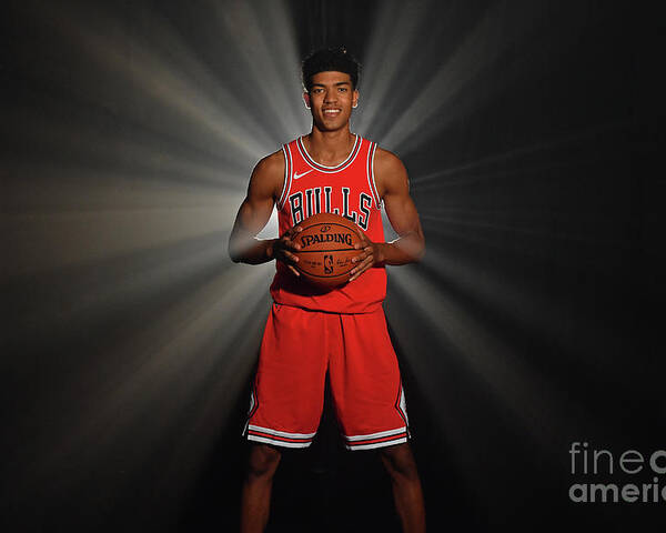 Chandler Hutchison Poster featuring the photograph 2018 Nba Rookie Photo Shoot by Jesse D. Garrabrant