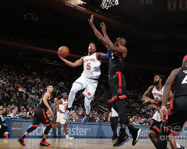 Dennis Smith Jr Poster featuring the photograph Toronto Raptors V New York Knicks by Nathaniel S. Butler