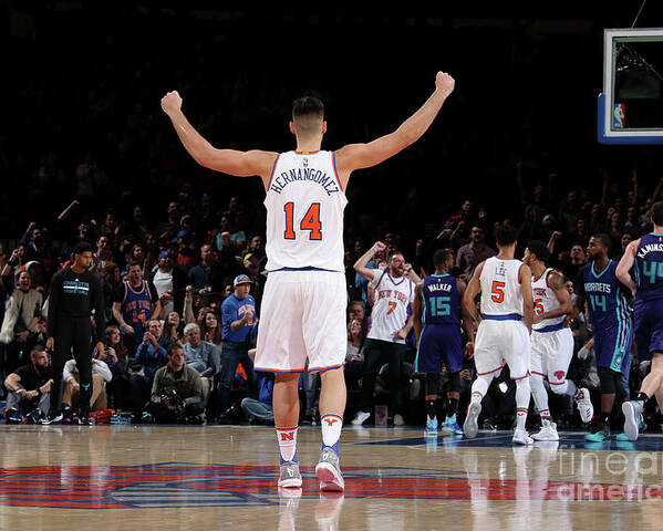 Willy Hernangomez Poster featuring the photograph Charlotte Hornets V New York Knicks by Nathaniel S. Butler