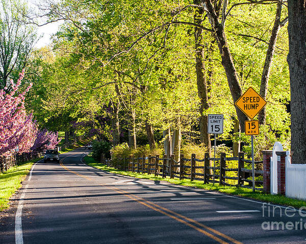 Landscape Poster featuring the photograph A Country Lane on a Springtime Afternoon by Steve Ember