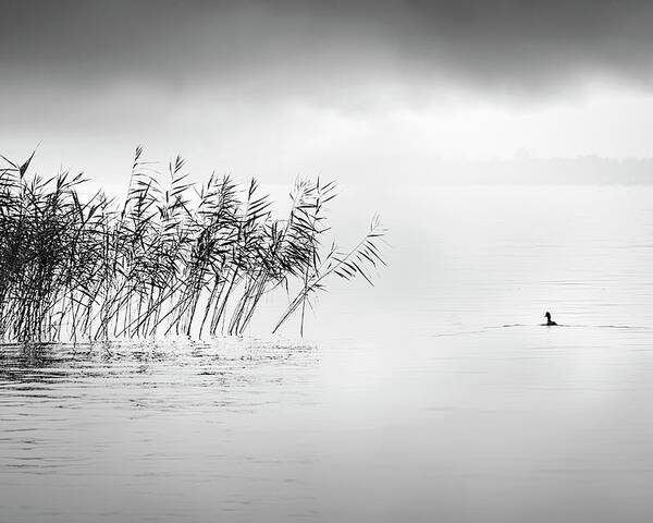 Lake Poster featuring the photograph A Hazy Shade Of Winter by George Digalakis