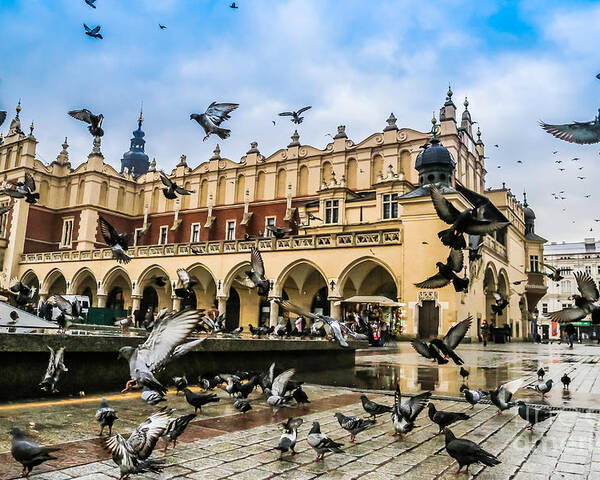 Castle Poster featuring the photograph A Lot Of Doves In Krakow Old City by S-f