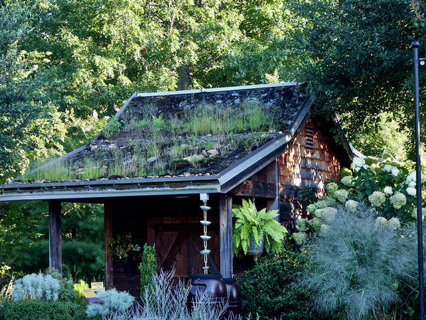 Environment Poster featuring the photograph A Roof Top Water Garden at the Arboretum in Asheville by L Bosco